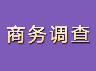 二道商务调查